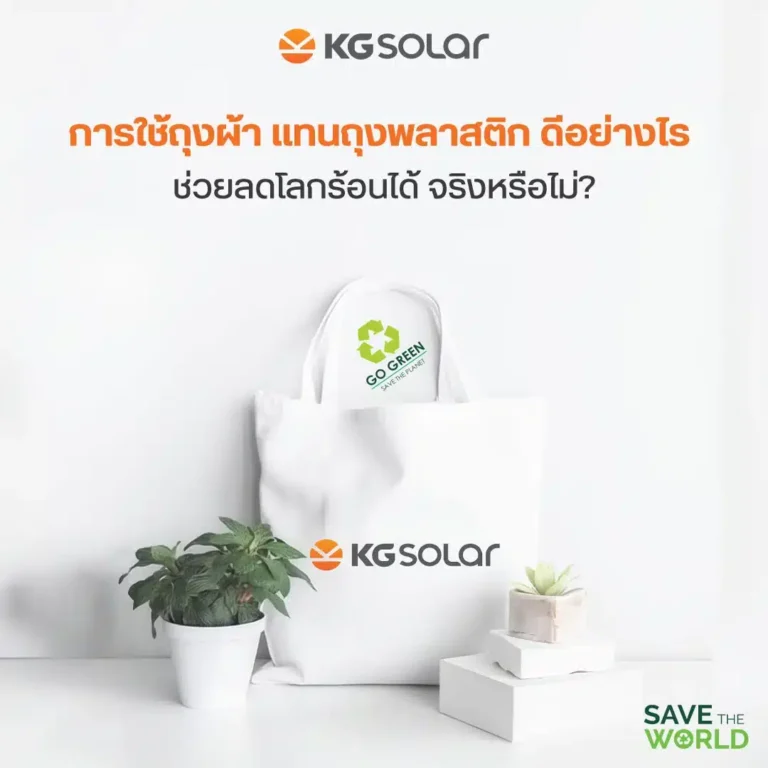 การใช้ถุงผ้าแทนถุงพลาสติก