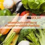 ฝรั่งเศสเป็นประเทศที่จัดการด้านเศษอาหารได้ยั่งยืนที่สุดในโลก