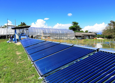 Solar Farm