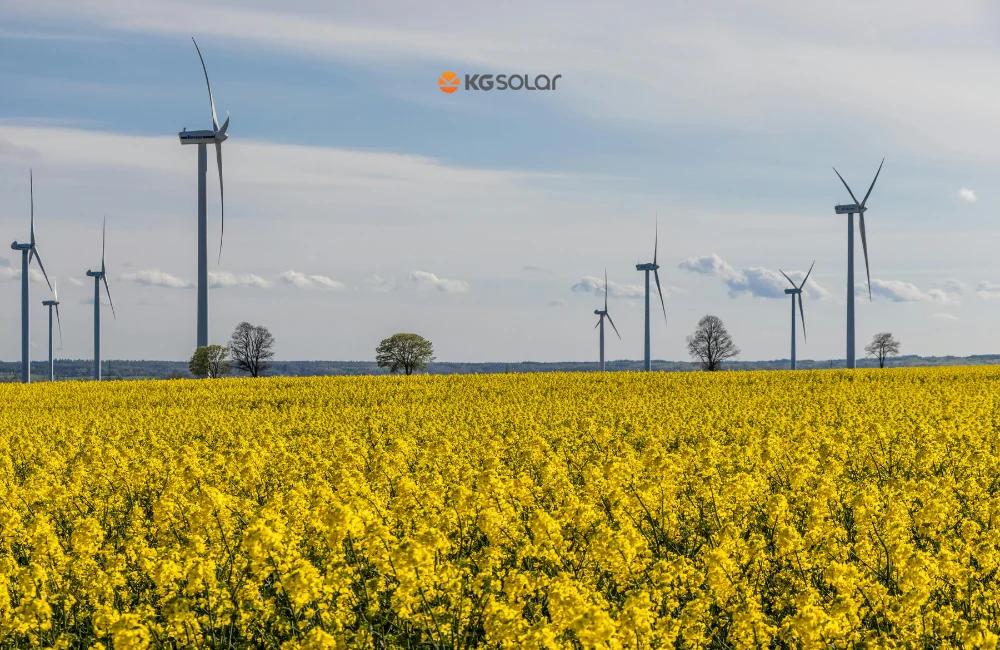 ข้อดี-ข้อเสีย ของการใช้กังหันลมผลิตไฟฟ้า